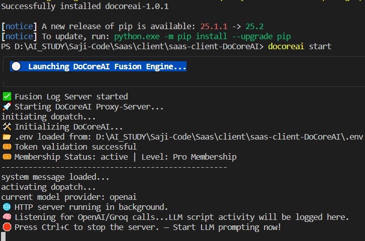 CLI Run Example